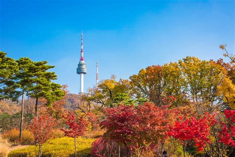  서남산 공원은 아름다운 경치와 힐링을 선사하는 곳입니다!